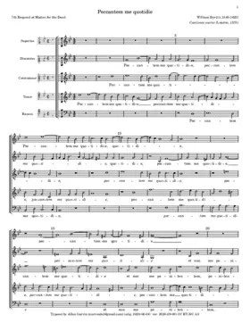 Peccantem me quotidie