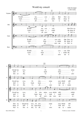 Would my conceit that first enforc'd my woe