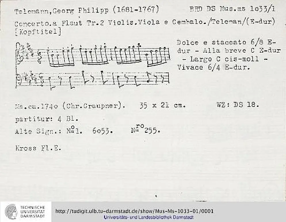 Flute Concerto - Page 1