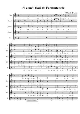 Si com' i fiori da l'ardente sole