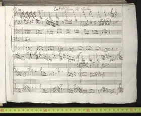 Bassoon Concerto in E minor