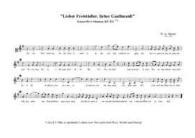 Lieber Freistaedtler, lieber Gaulimauli