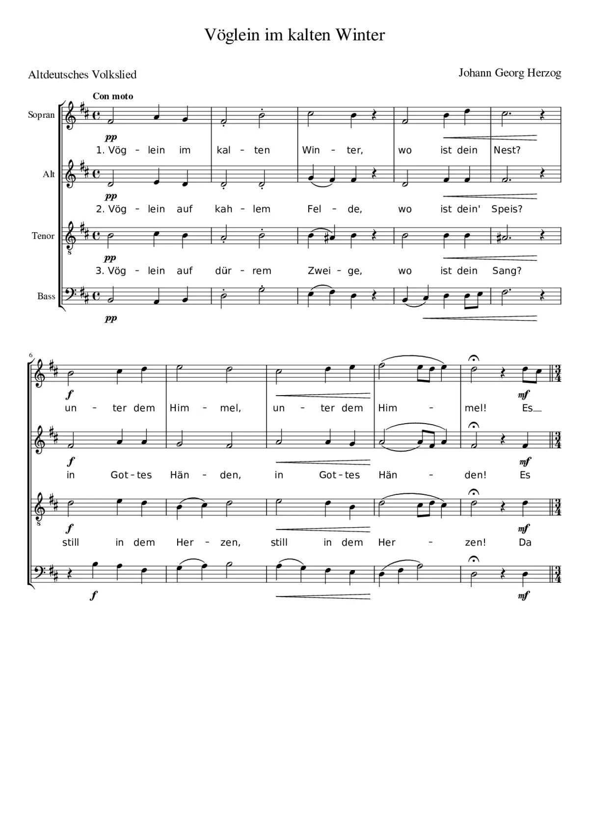 Vöglein im kalten Winter - Page 1