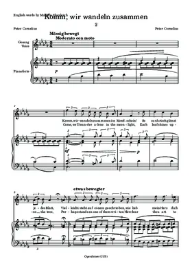 Komm, wir wandeln zusammen