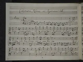 Farfalletta sconsigliata che ti giova