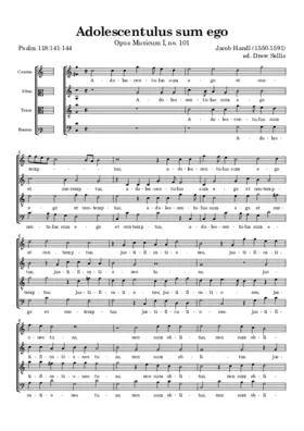 Adolescentulus sum ego