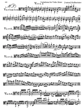 12 Etudes for Viola