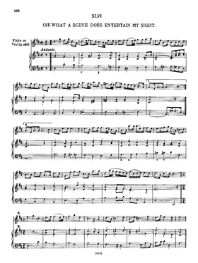 Oh! What a Scene Does Entertain My Sight