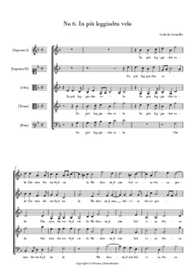 In più leggiadro velo