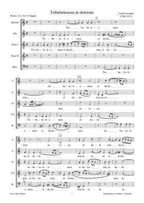 Tribulationem et dolorem