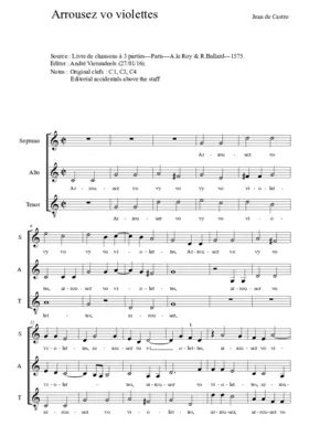 Arrousez vos violettes