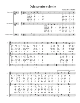 Deh scoprite colorite