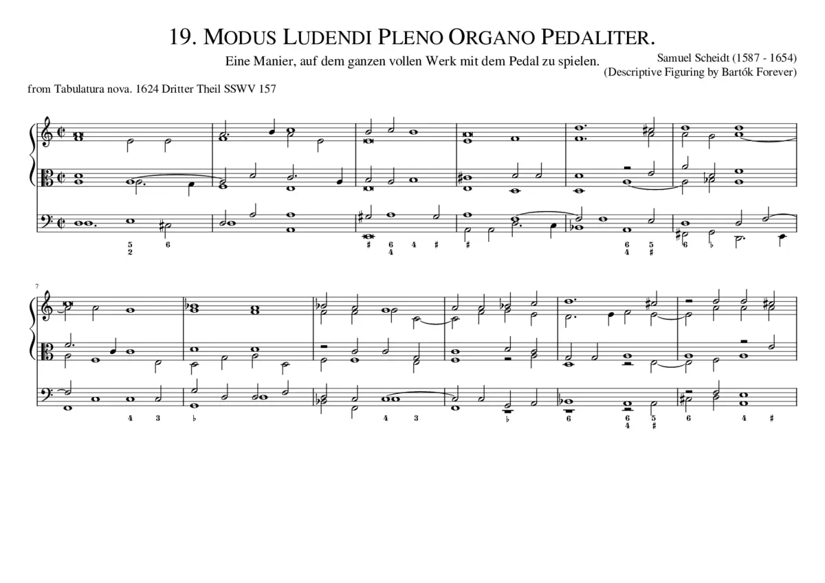 Modus Ludendi Pleno Organo Pedaliter SSWV 157 - Page 1