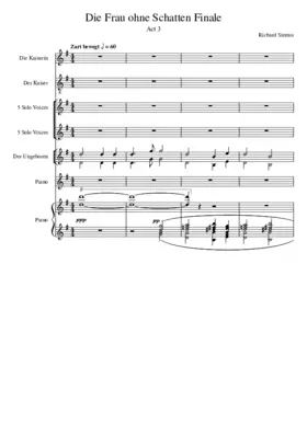 Die Frau ohne Schatten Op.65