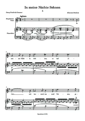 In meiner Nächte Sehnen