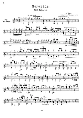 Serenade for 2 Guitars