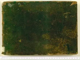 12 Cantatas, I-Vnm Mss.It.IV.959