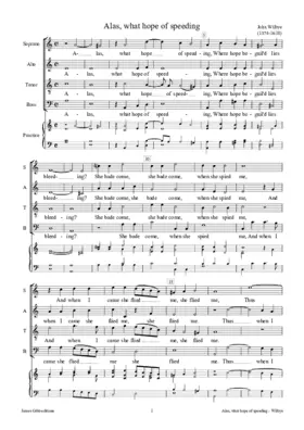 Alas, what hope of speeding