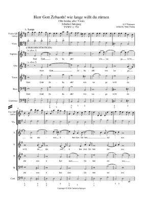Herr Gott Zebaoth! wie lange willt du zürnen, TWV 1:751