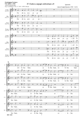 Foedera conjugii