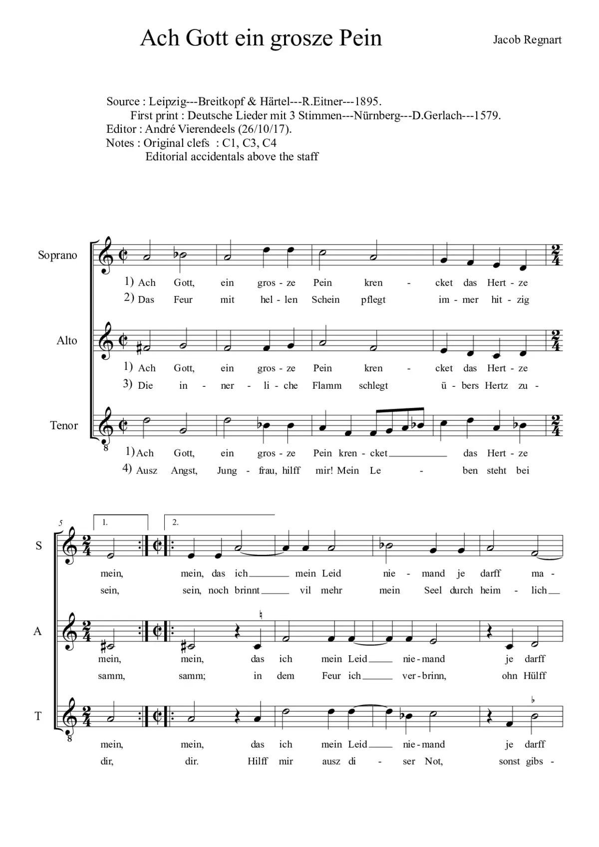 Ach Gott ein grosze Pein - Page 1