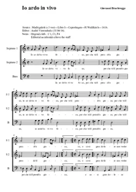 Io ardo in vivo foco