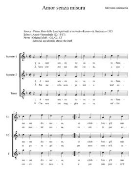 Amor senza misura