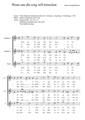 Wenn uns die Sorg will krencken