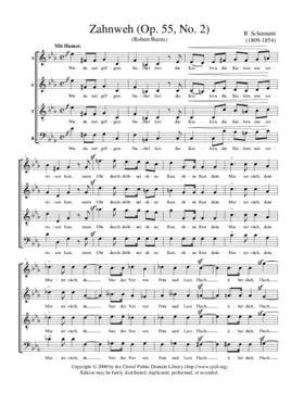 Zahnweh, Op. 55, No. 2