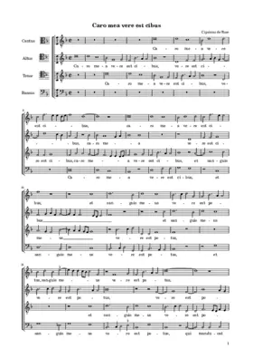 Caro mea vere est cibus