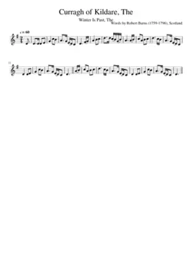 The Curragh of Kildare