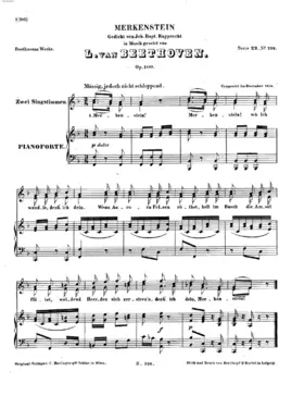 Merkenstein, Op.100