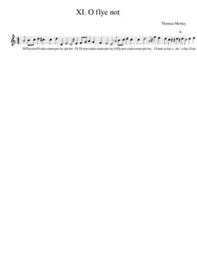 XI. O flye not