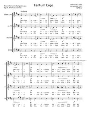 Tantum Ergo in D Major WAB 32