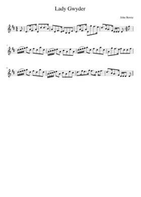 Lady Gwyder
