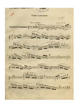 String Quartet Concerto