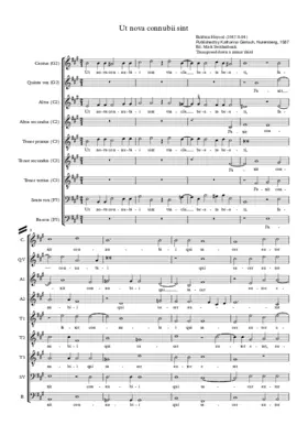 Ut nova connubii sint