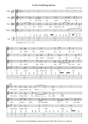 In this trembling shadow