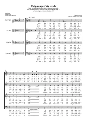 Chi passa per 'sta strada