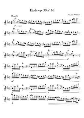 24 Etudes for Flute Op.30