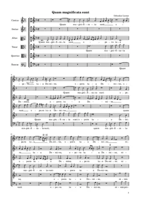 Quam magnificata sunt