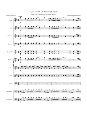 Die Entführung aus dem Serail K.384