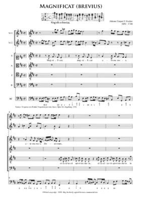 Magnificat brevius