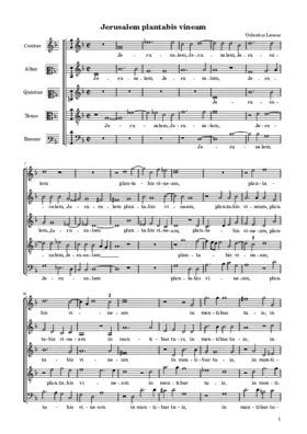 Jerusalem plantabis vineam