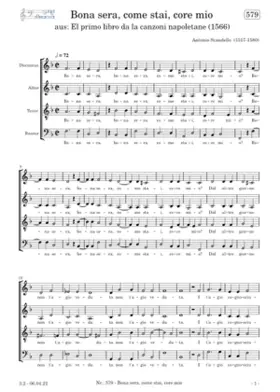 Bona sera come stai core mio