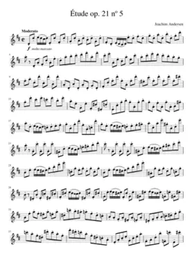 24 Studien op. 21