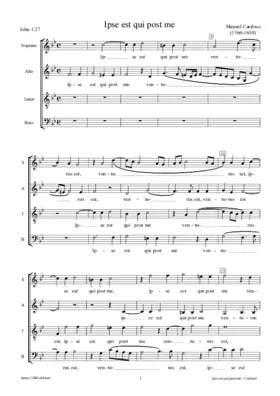 Ipse est qui post me