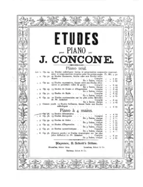 15 études élémentaires
