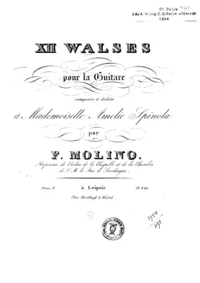 12 Waltzes for Guitar