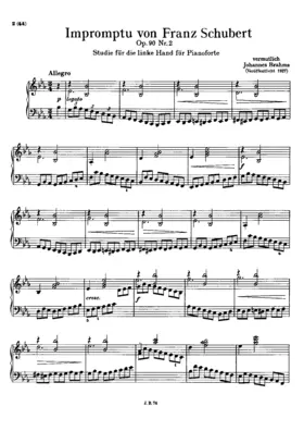 Study for the Left Hand